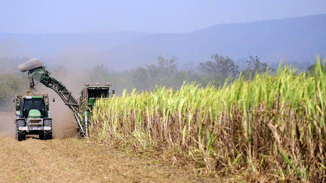 NEWS: Ingham: A cane harvester at work in the sugar cane fields just outside of Ingham. Pic. Hitchcock Ian MM337802 Picture: Supplied