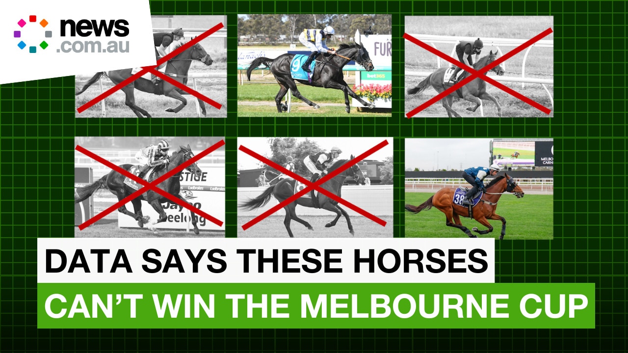 22 Cup horses wiped out of Melbourne Cup contention