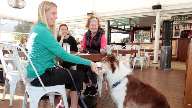 The whole family is welcome at Cafe Catalina. Pic by Richard Gosling