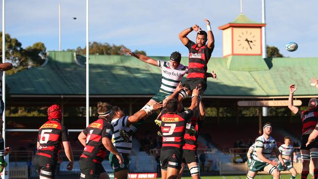 The Shute Shield final will take place at North Sydney Oval on Saturday.