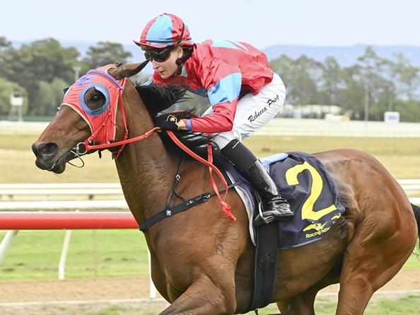 Knights Armour, pictured winning at Hawkesbury earlier this month, is Mitch Cohen's best value bet of the day. Picture: Bradley Photos