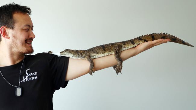 Snake catcher Mark Pelley with the rescued crocodile. Picture: Aaron Francis