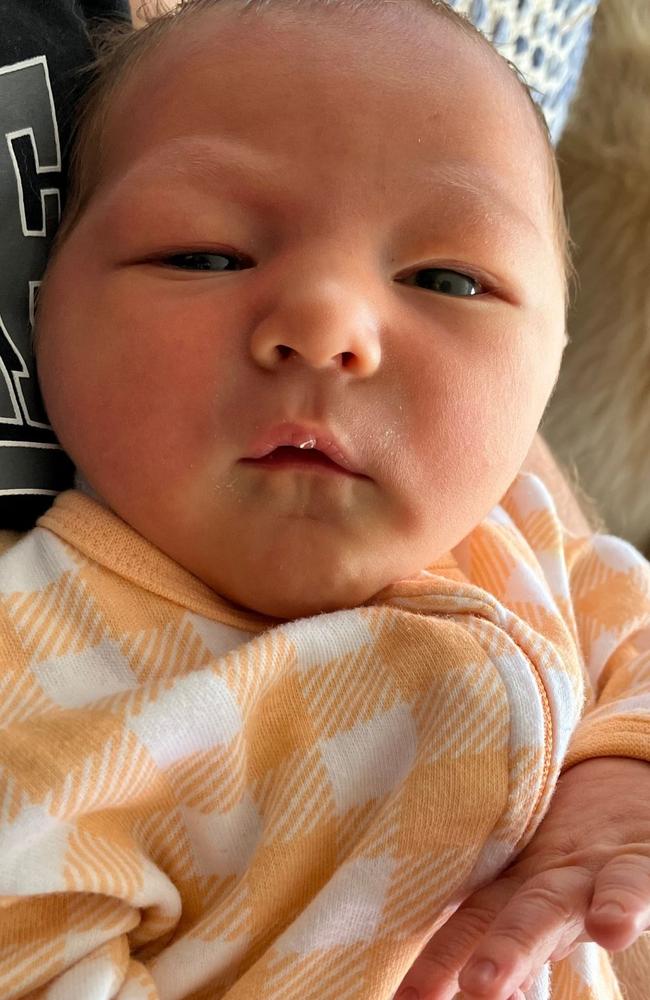 Little Beau.