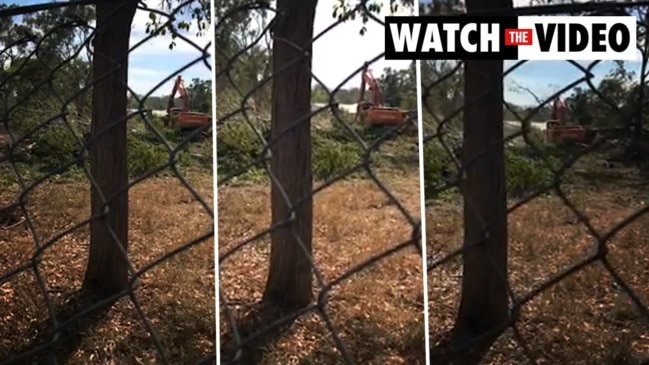 Land clearing at 675 Tilley Rd, right next to Queensland Koala Society's rescue centre