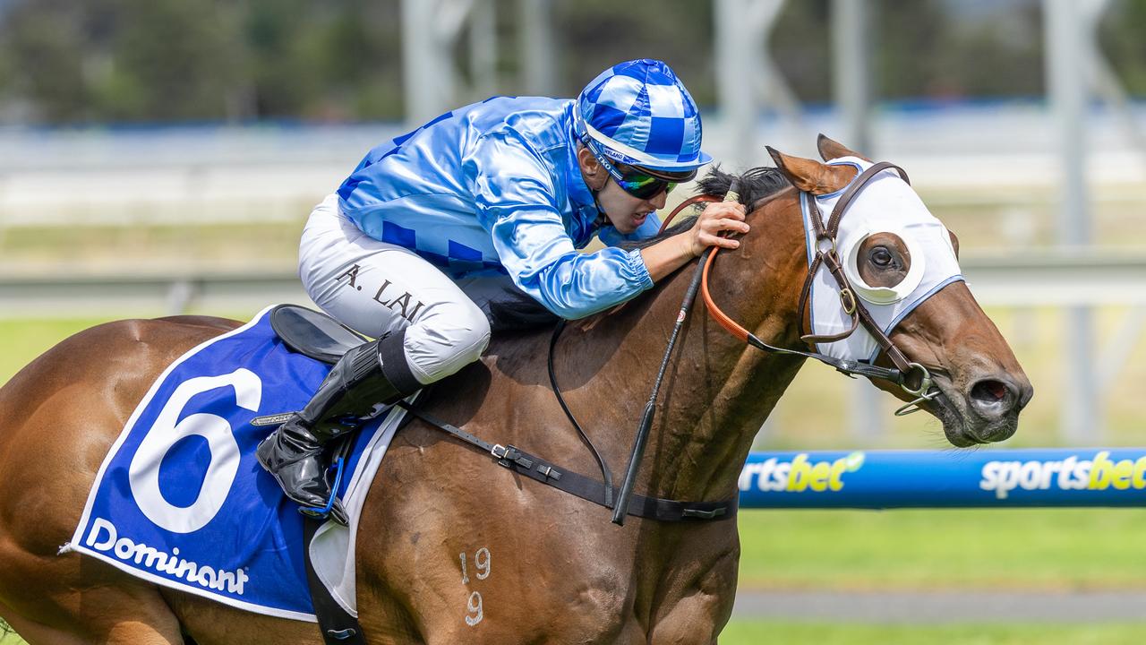 San Lucido, ridden by Alan Lai, wins at Morphettville last Saturday. Picture: Makoto Kaneko