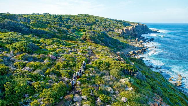 Cape to Cape Track, Margaret River, WA. Picture: Luke Tscharke