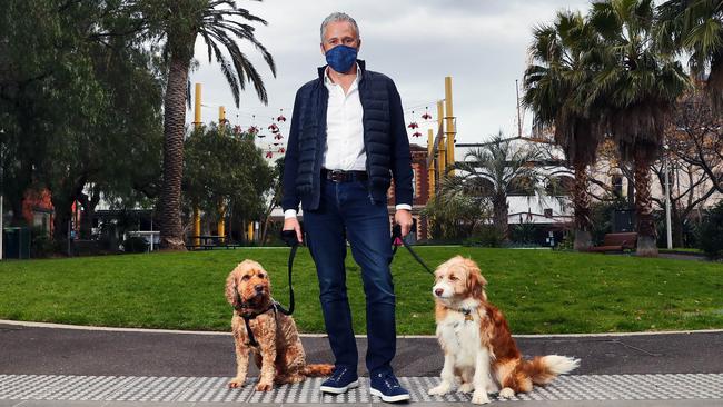 Telstra chief Andy Penn in Prahran with his dogs Mr Bennett, left, and Wolsely, who have become well known to his staff via video meetings. Picture: Aaron Francis