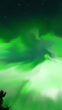 'Most insane Aurora of my life':  stunning northern lights shine across northern hemisphere