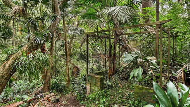 The Wahroonga block was like a jungle.