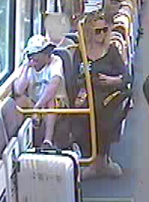 Sunshine Coast detectives are appealing for two train passengers who were witness to an alleged indecent treatment of a 15-year-old girl in February earlier this year.