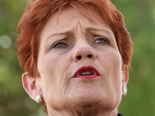 Queensland Senator-elect, One Nation's Pauline Hanson, takes questions from the media during a news conference in Brisbane, Monday, July 4, 2016. One Nation is expected to win two Senate seats in Queensland, one in NSW and possibly one in Western Australia. (AAP Image/Dan Peled) NO ARCHIVING