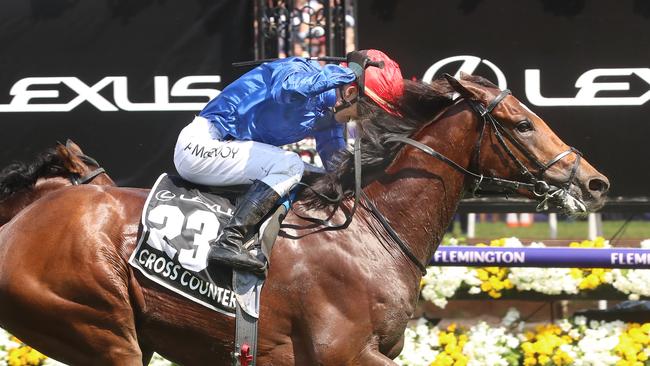 Cross Counter’s Melbourne Cup win gave one punter a massive payday. Picture: Alex Coppel