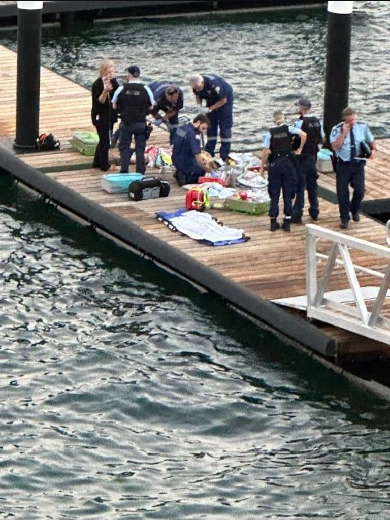 Cops investigate ‘horrible’ shark attack brawl | news.com.au