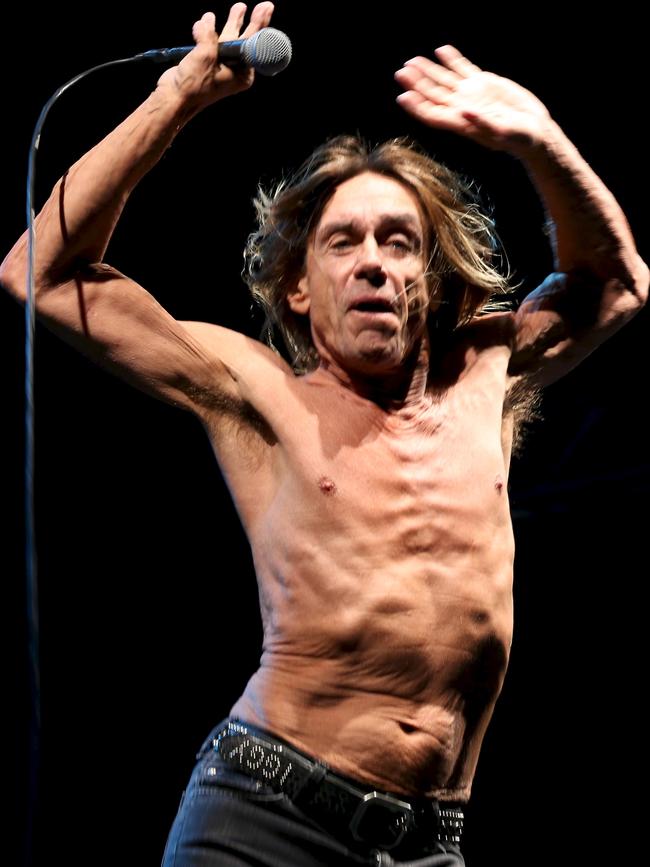 Iggy Pop at Bluesfest in 2013. Picture: Jane Dempster