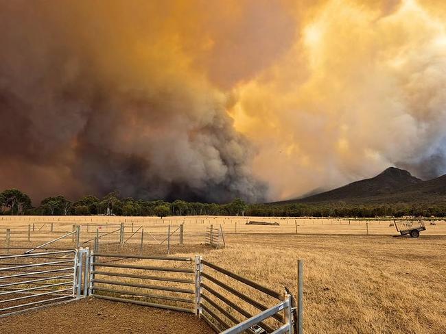 ‘Too late to leave’: Fire ravages Victoria