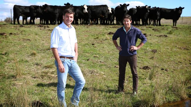 Family ties: Angus and Richard Taylor see a positive future for agriculture.