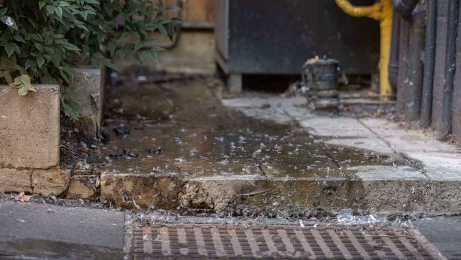 Bird poo on Leigh Street, pictured on Wednesday. Picture: Ben Clark