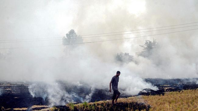 A farmer walks after burning straw stubble in a paddy field in Jalandhar.