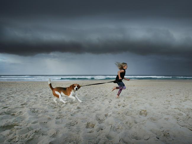 HOLD FOR Village green Ava Brewster, 7, and Walter the beagle go for a run at Mermaid Beach as rain approaches. Ava's mum is Sue - 0413753796. Pic by Luke Marsden.