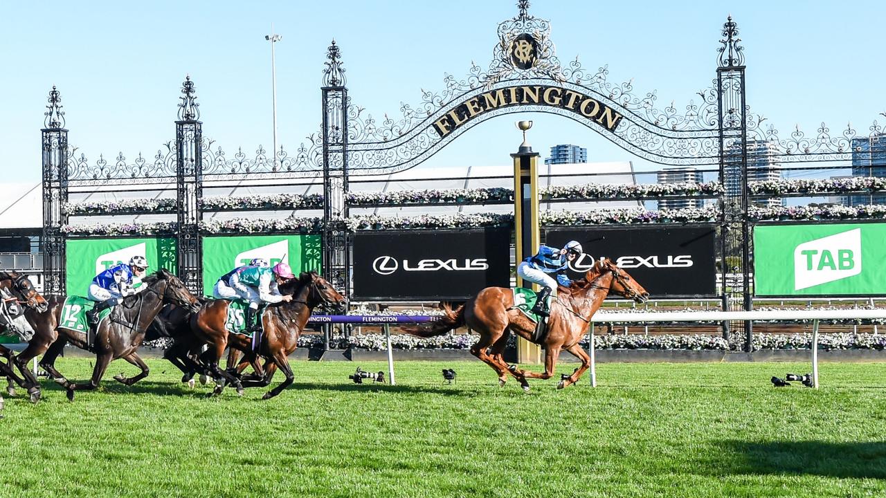 Smokin' Romans could run a place in the Melbourne Cup. (Photo by Brett Holburt/Racing Photos via Getty Images)