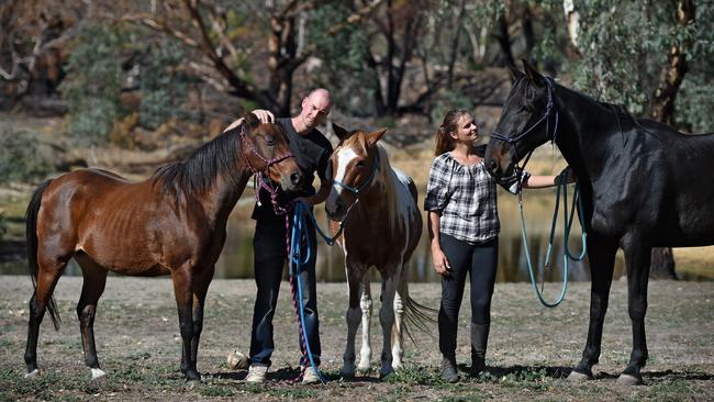 Windamere Horse Haven’s David Mews with mares Holly and Lakota and trainer Sarah McEachern from Empathy Horsemanship with gelding Houdini. Picture: Naomi Jellicoe