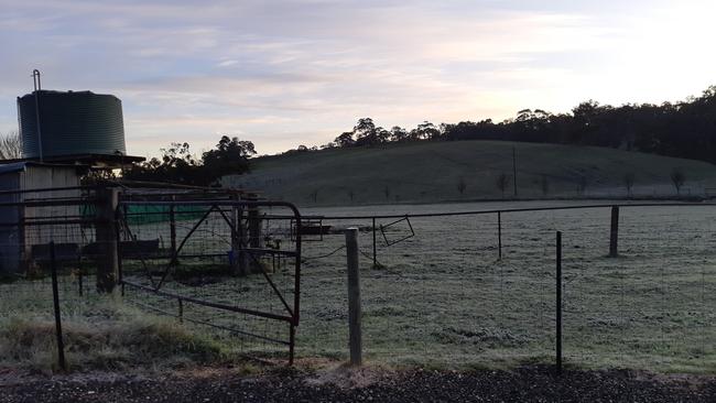 Frost lies on the ground on a farm in Nairne in the Adelaide Hills, when the temperature was just 1C. Picture: Lynton Grace