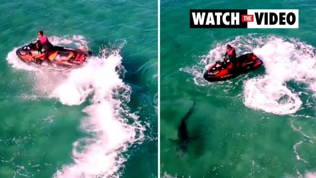 Moment shark launches itself at man on jetski