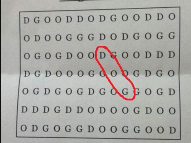 hardest-word-search-ever-find-the-word-dog-in-this-puzzle-news