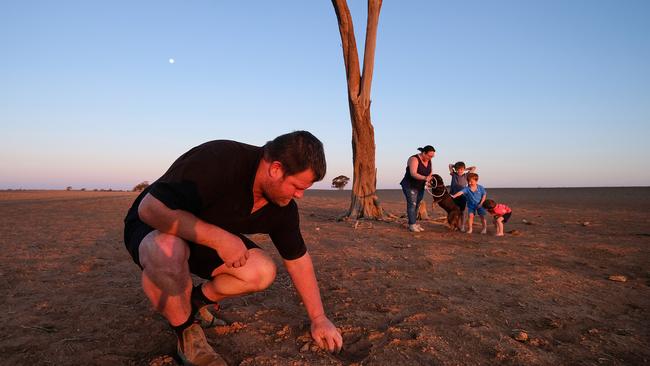 Conditions are taking their toll on families. Cowan and Erin Tyack with their boys Hudson, 3, Oliver, 8, Harrison, 5, with 'Belle' on their property near Werrimull. Picture: Alex Coppel.