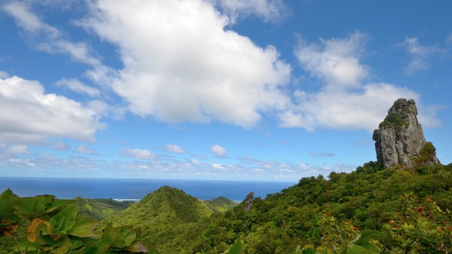 5. Hike across the islandWhen you get sick of perfect beaches and the clearest water you’ve ever seen, head into the interior to experience a very different landscape. The most popular hike is the Cross Island Track, a 7.6km slog which takes you up to the spectacular rock formation known as The Needle. Bring proper shoes, let someone know you’re going and don’t hike in the wet. Make sure to have a dip under the waterfall at the end. 