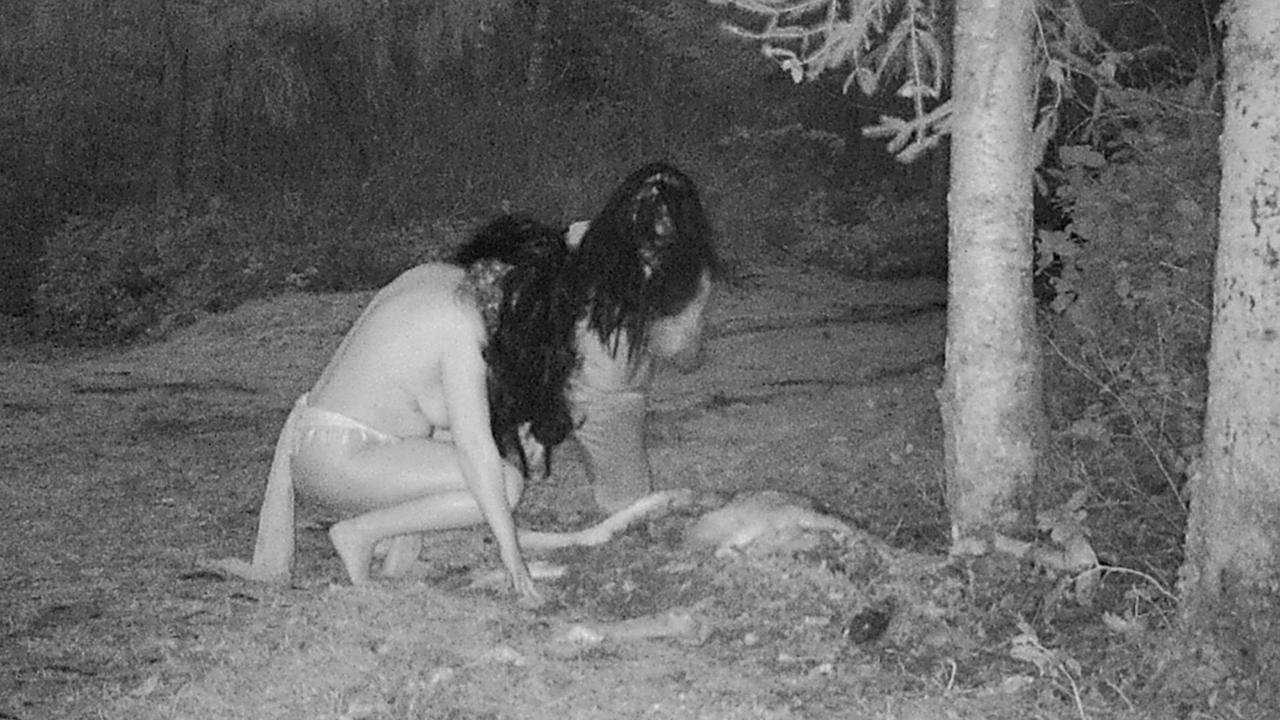Topless women caught munching on deer carcass in bizarre CCTV footage news.au — Australias leading news site pic