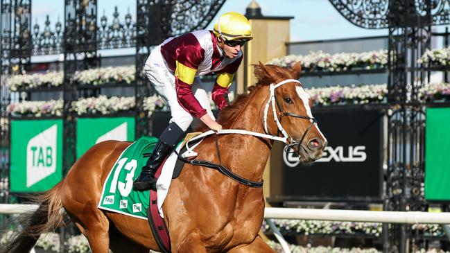 Crystal Pegasus is a roughie in the field. Picture: Racing Photos via Getty Images