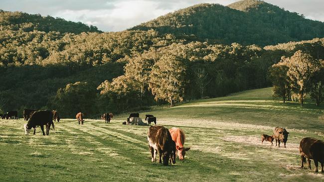 The Gilbert's property is set in once picturesque farmland. Source: Facebook