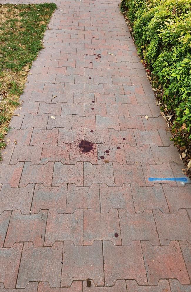 A trail of blood was splattered along Charles and Princes St. Picture: Darcy Fitzgerald