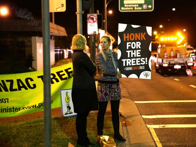 Protesters came out in force when the State Government began to chop down trees along Anzac Pde. Picture: Bill Hearne