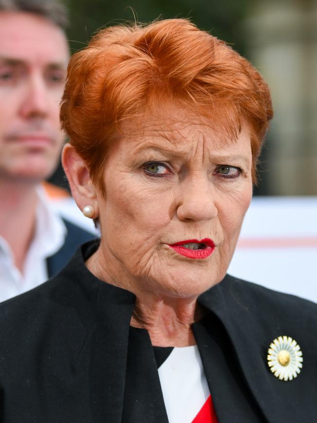 One Nation leader Senator Pauline Hanson. Picture: Dan Peled/NewsWire