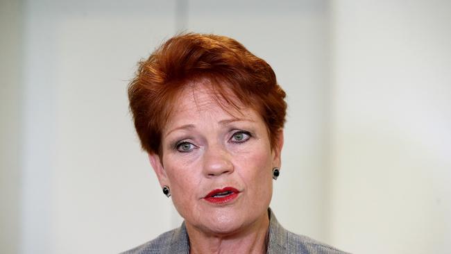 Senator Pauline Hanson at Parliament House in Canberra. Picture Kym Smith