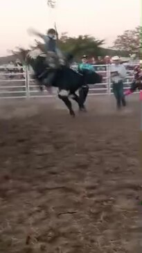 Miniature bull rider Cooper McConnell