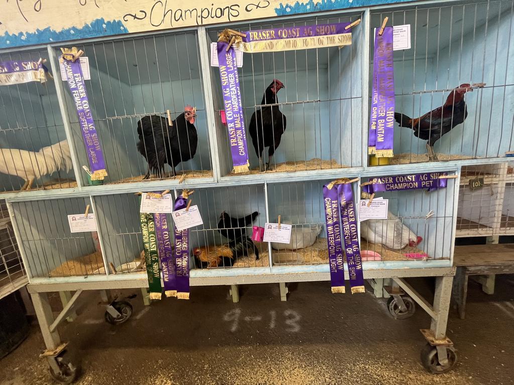 Fun was had at the Fraser Coast Show.