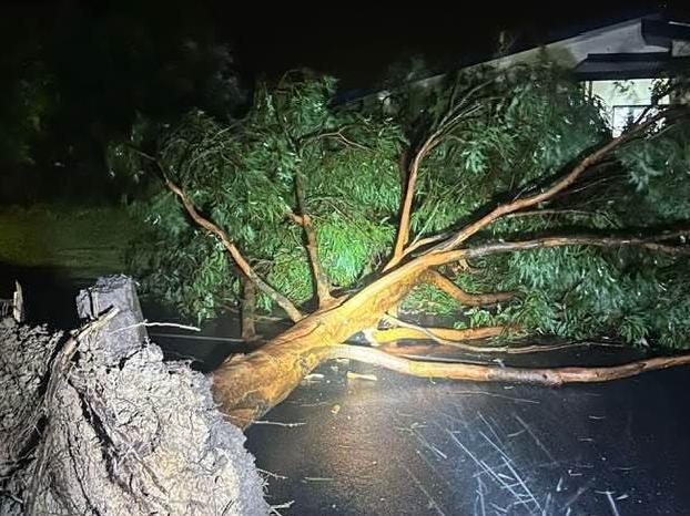 Cyclone Alfred hits Brisbane. Picture: Clint Melton, Murrumba Downs