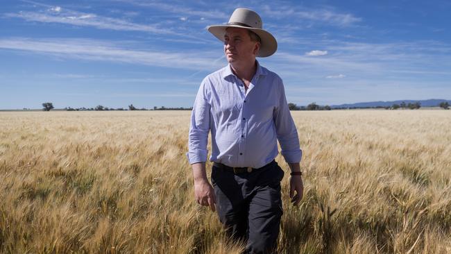 Barnaby Joyce on the campaign trail after the High Court ruled him a dual citizen and therefore ineligible to sit in parliament.