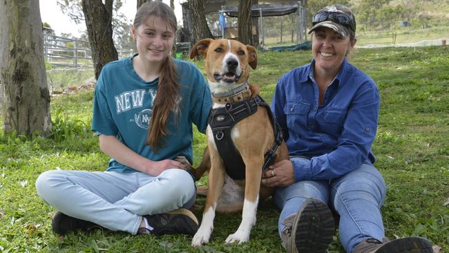 Meet the therapy dogs healing people across Toowoomba