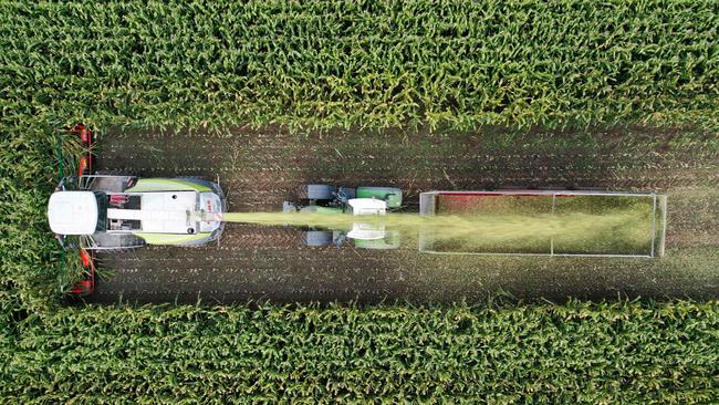 Farmers need both full time staff and contractors to pick this year’s winter harvest. Picture: Damien MEYER / AFP.