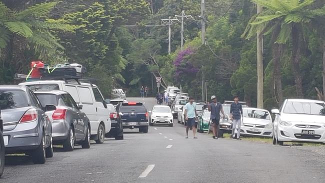 Visitors to Springbrook National Park during the COVID-19 coronavirus pandemic. Photo: Supplied