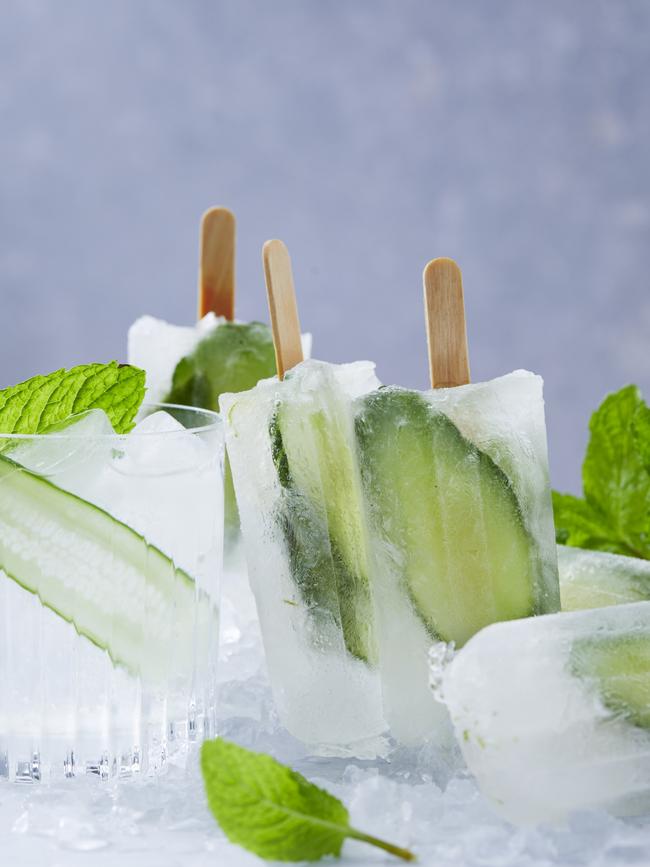 G&T popsicles. Picture: Guy Bailey