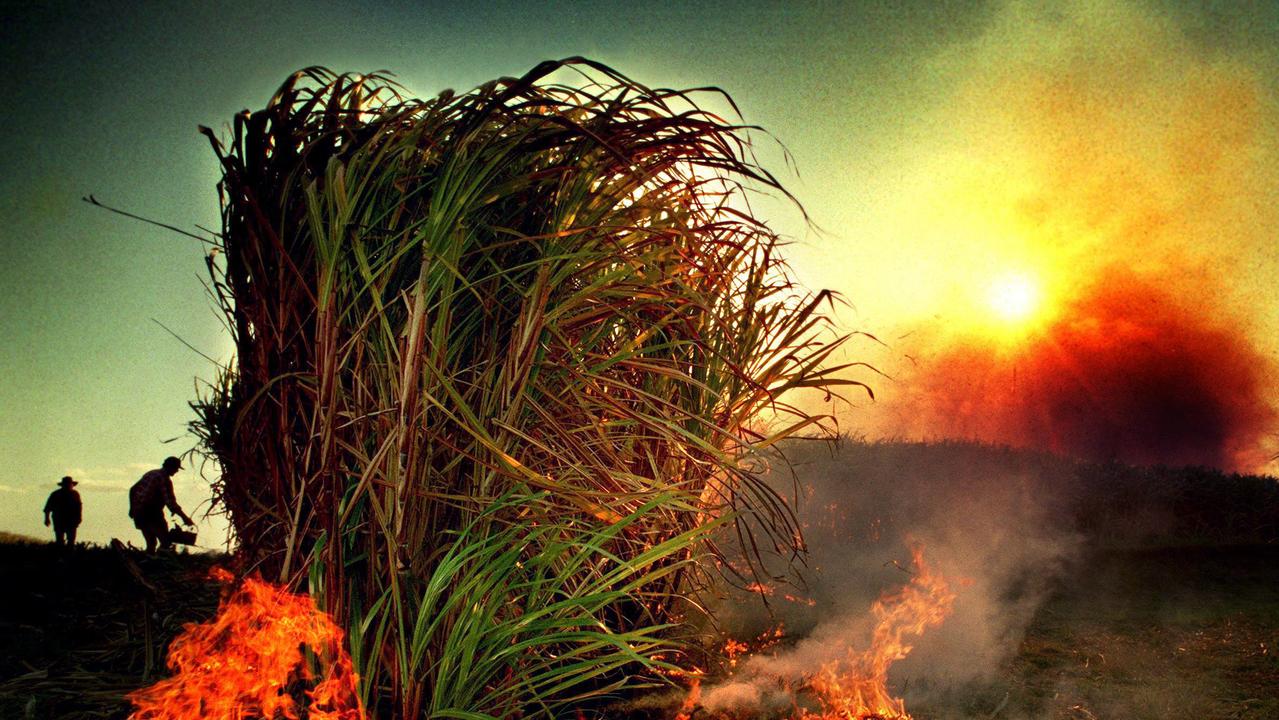 Sugarcane burning on a farm in Bundaberg in August, 1998.