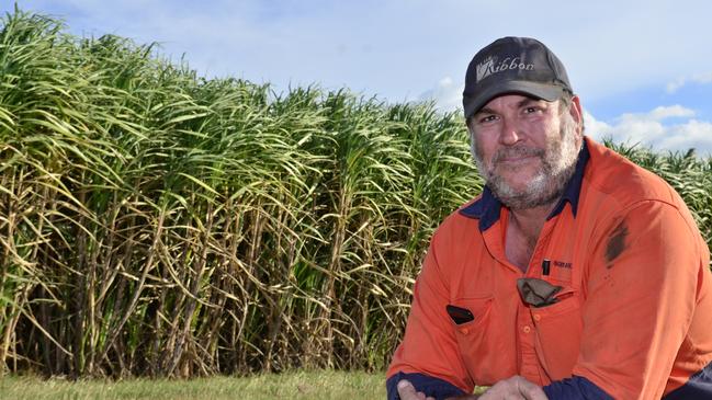 Dean Sgroi, a cane farmer, says the regulations should return to what they were before the amendments in 2019. Picture: Mikayla Mayoh