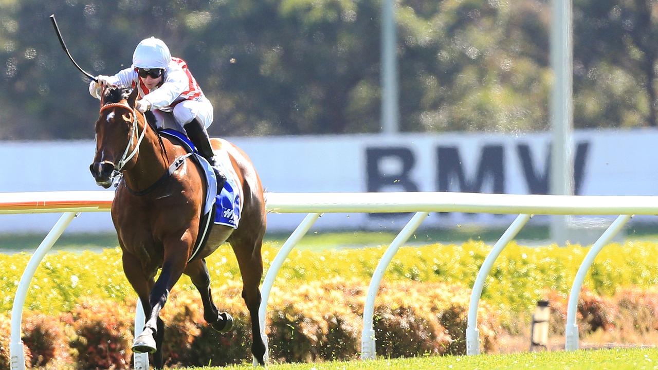 Deep Field ridden by Jamie McDonald wins race 2 during Canterbury midweek races. pic mark evans