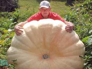 Pumped up: Tidge Knight pictured in 2005 with one of his biggest pumpkins.