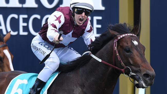 Land of Plenty is among the horses which have left the stables Picture: AAP Image/Julian Smith